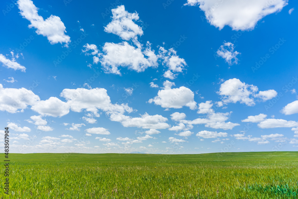 Bright summer day with fluffy clouds and green meadow in Wyoming Bright summer day with fluffy clouds and green meadow in Wyoming