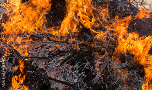 Flaming fire. Burning tree branches. Pagan rite dedicated to the arrival of spring. Big bonfire on Shrovetide. Auto-da-fe, ritual of public punishment, burning at the stake.