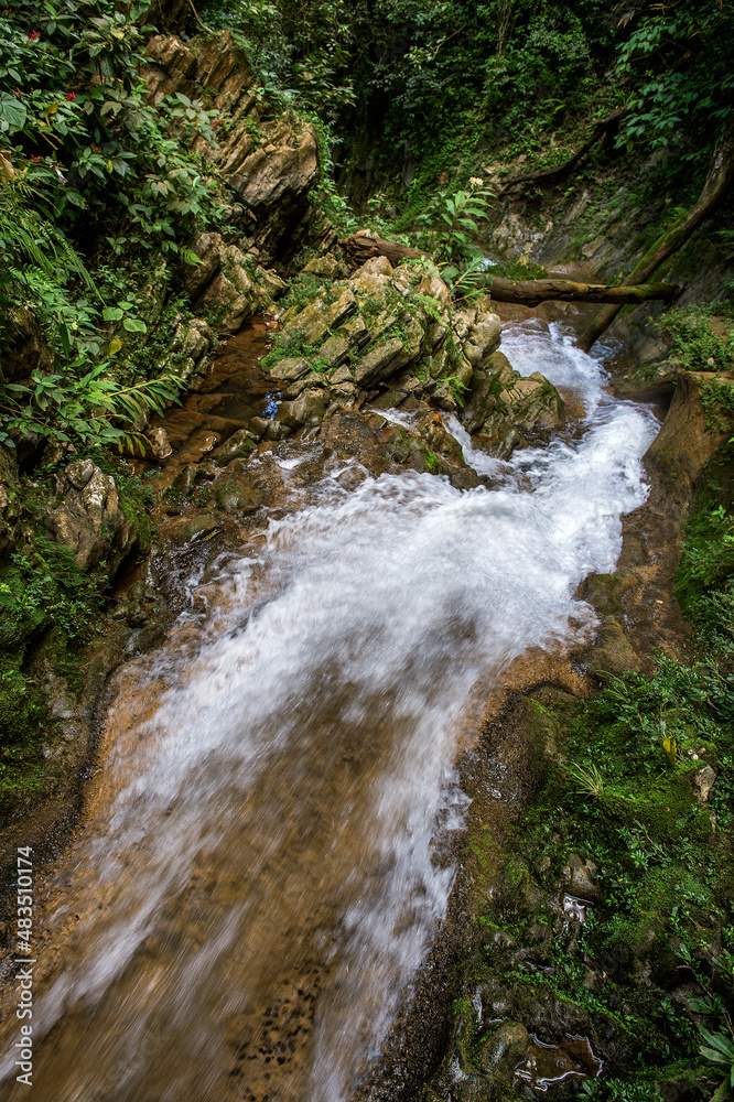 Waterfall in a lush rainforest.