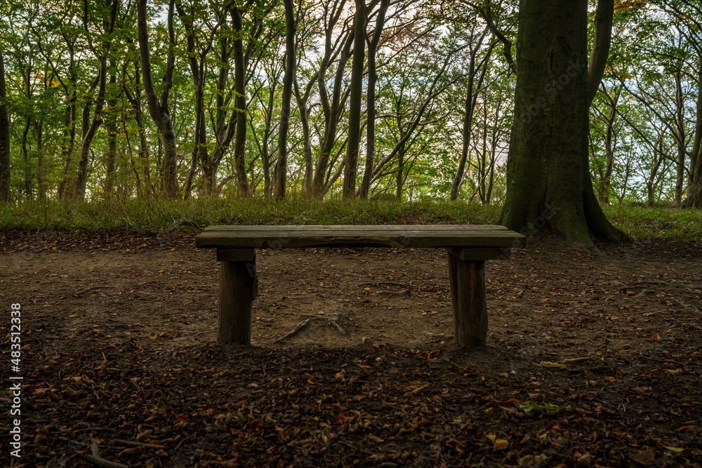A wooden bench in the forest near Schwirenz, Mecklenburg-Western Pomerania, Germany A wooden bench in the forest near Schwirenz, Mecklenburg-Western Pomerania, Germany