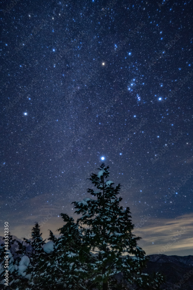 Fototapeta premium 星空のクリスマスツリー
