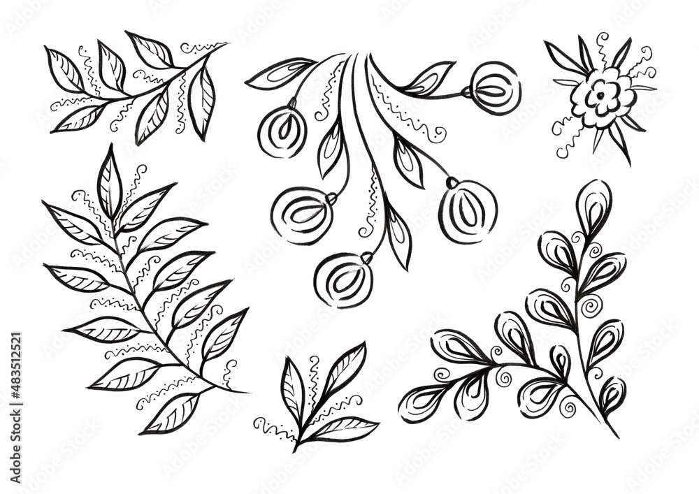 Fototapeta premium Set flower and leave. Black floral elements on white Background
