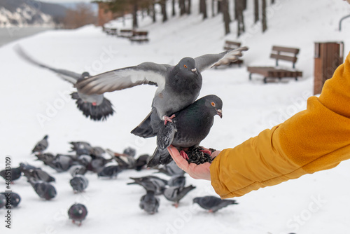 Feeding pigeons in the city park.