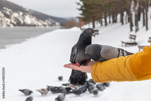 Feeding pigeons in the city park.