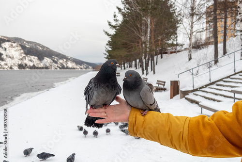 Feeding pigeons in the city park.