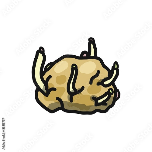 発芽したじゃかいものイラスト