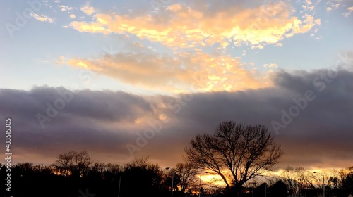 Orange sunset through the trees