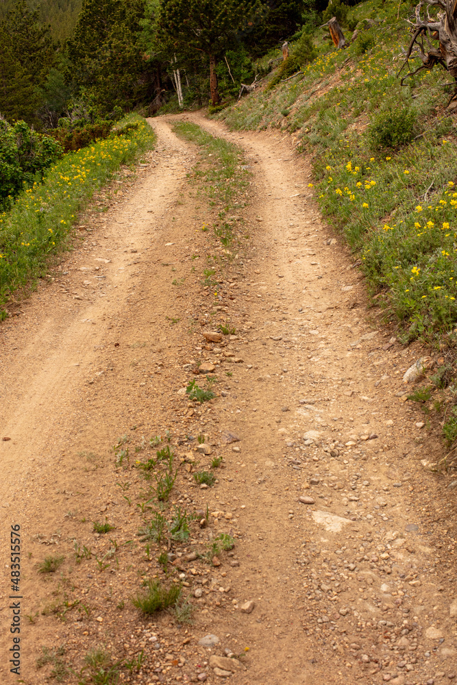 Rural Road Rural Road