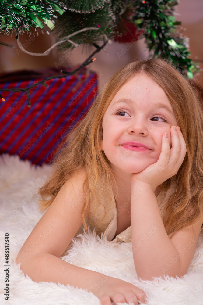 A beautiful elegant girl near the Christmas tree in the New Year A beautiful elegant girl near the Christmas tree in the New Year