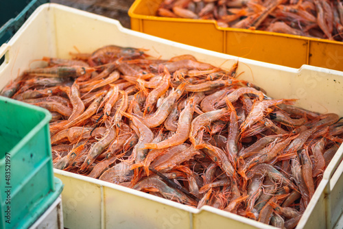 Obraz na płótnie Freshly just caught shrimps and other fish in plastic crates on a fishing wooden