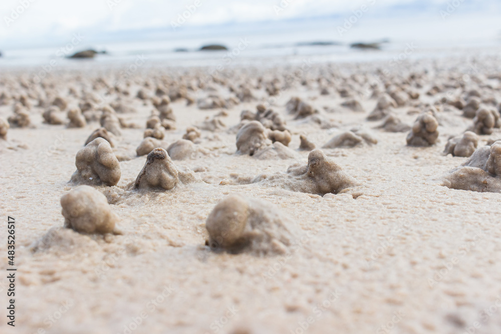 Sand piles made by beach fleas in Hua Hin beach, Thailand. Sand piles made by beach fleas in Hua Hin beach, Thailand.