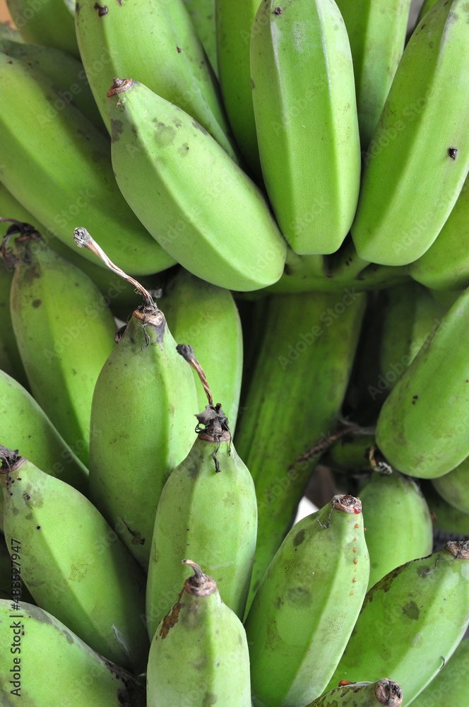 Bunch of Raw Bananas. Closeup of Green Banana