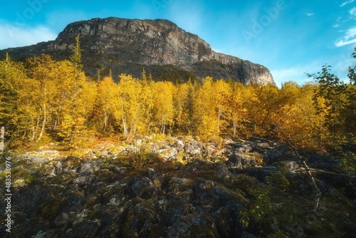 autumn in the mountains © Мария Быкова