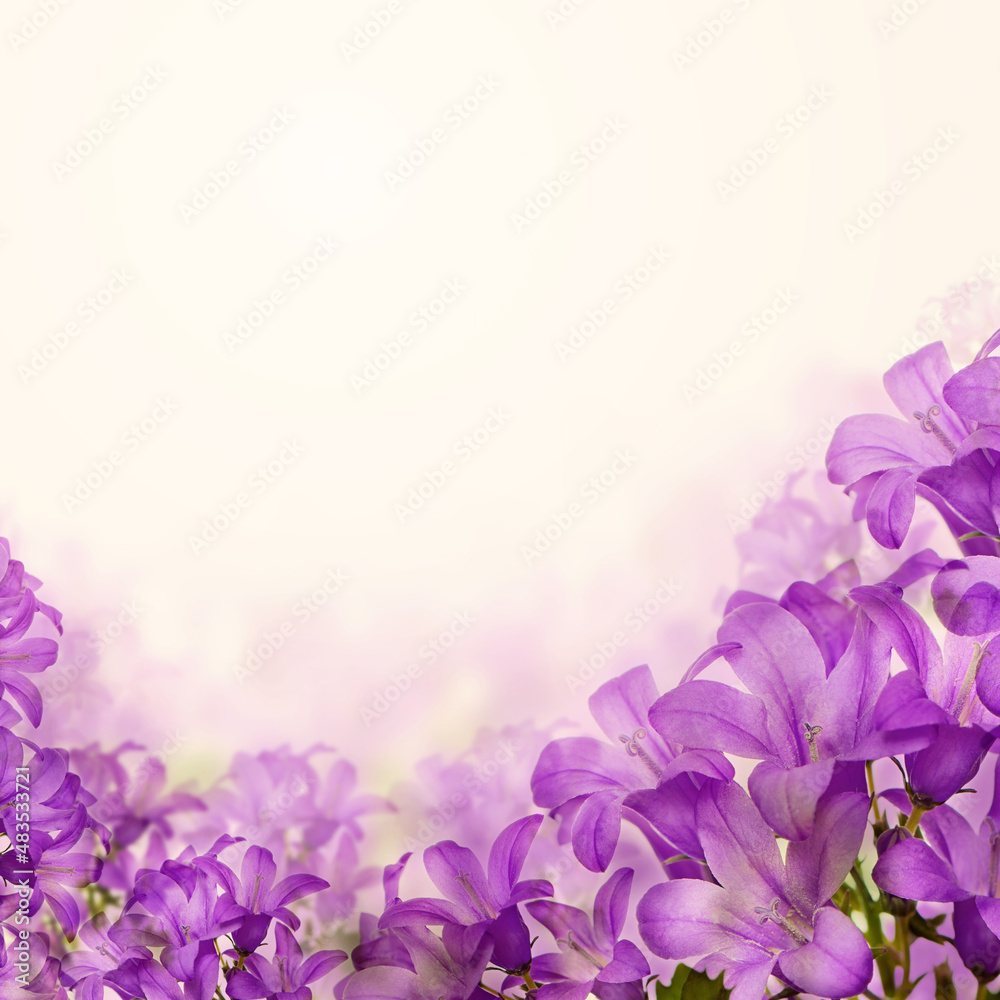 Obraz premium Purple bluebells flowers, floral blossom card background border