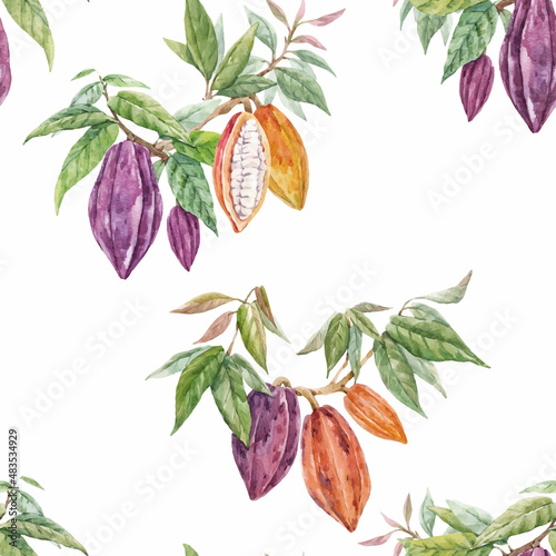 Beautiful vector seamless tropical pattern with hand drawn watercolor cocoa fruits and leaves. Stock illustration.