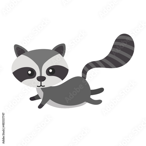 raccoon flat icon