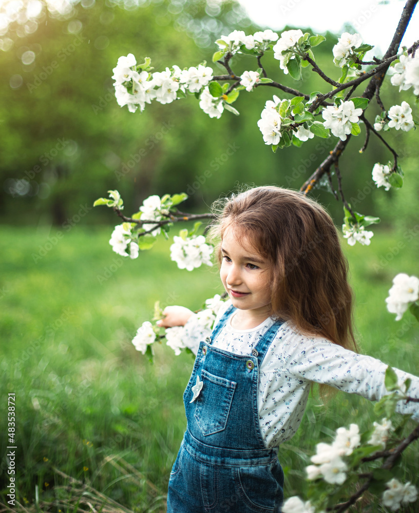 A cute little girl of 5 years old in a blooming white apple orchard in spring. Springtime, orchard, flowering, allergy, spring fragrance, tenderness, caring for nature A cute little girl of 5 years old in a blooming white apple orchard in spring. Springtime, orchard, flowering, allergy, spring fragrance, tenderness, caring for nature