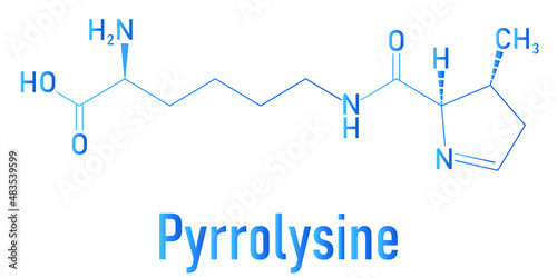 Pyrrolysine or l-pyrrolysine, Pyl, O amino acid molecule. Skeletal formula. photo