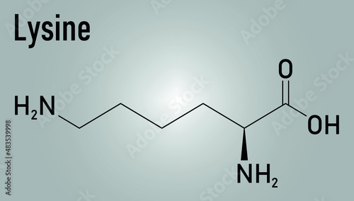 Lysine or l-lysine, Lys, K amino acid molecule. Skeletal formula. photo