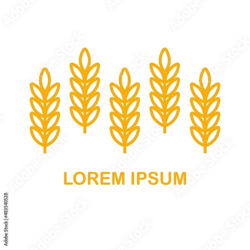 Wheat ears icon vector farm logo template. Line whole grain symbol illustration for organic eco bakery business  agriculture  beer on white background.