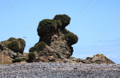 Curious bear-shaped rock formation, Punihuil, Chiloe Island, Chile