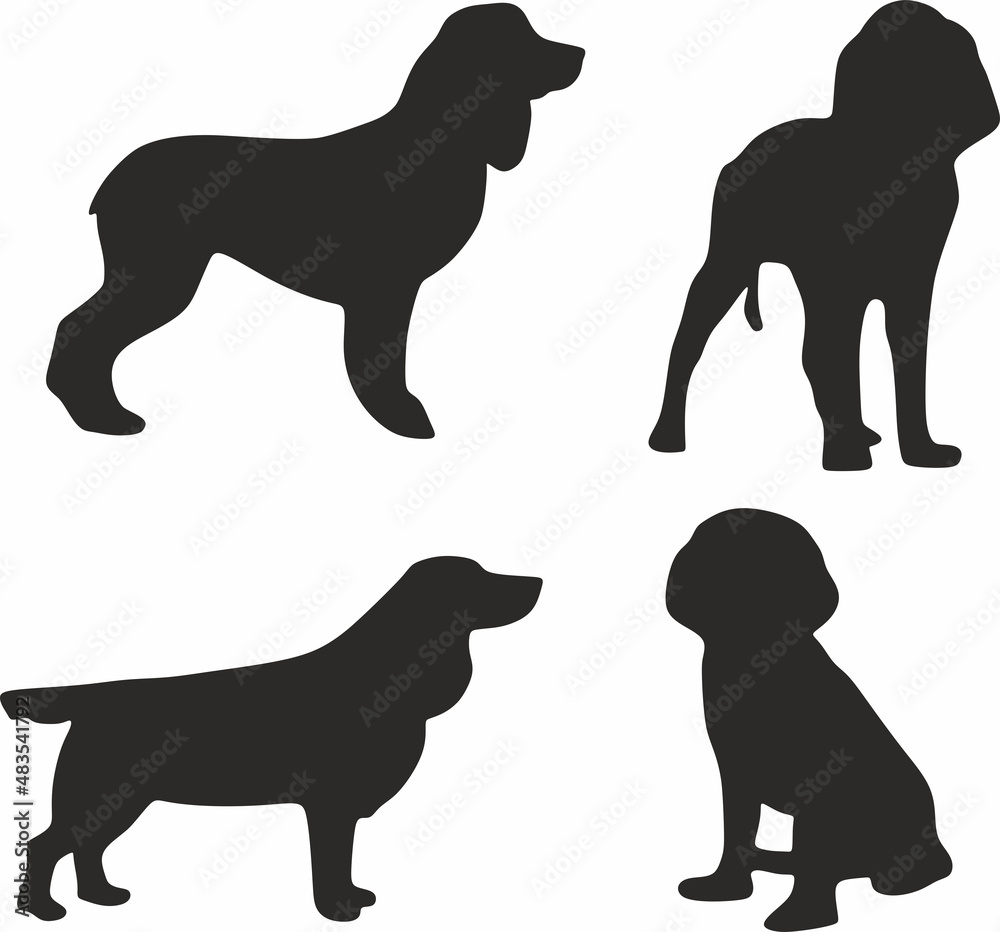 Vector set of silhouettes of small dogs. Shadows of spaniel hunters. Animals with long ears.
Vector set of silhouettes of small dogs. Shadows of spaniel hunters. Animals with long ears.