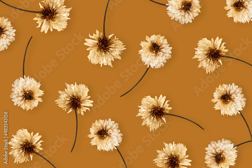 Floral pattern made of Dried flowers and eucalyptus on beige background. Flat lay  top view