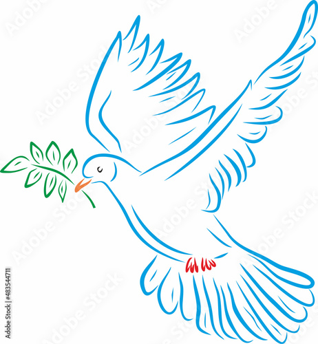 Vector silhouette of a blue, white dove. Drawn outline of a colored bird. Peace dove with olive branch. Christian symbol. Noah's Ark. Good news. Bible legend.
