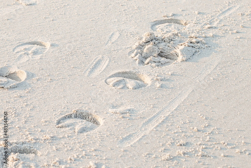 Horse footprints on a beautiful beach in the evening
