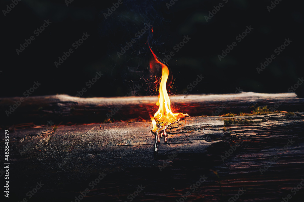 burning resin on wood in nature.