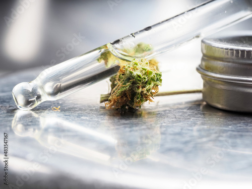 cbd cannabis oil and marijuana flower on metal lab table pipette