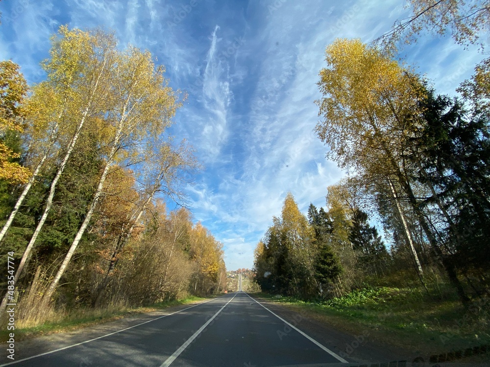 Fototapeta premium road in autumn forest
