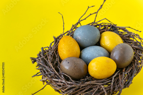 Colorful Easter eggs in birds nest on bright yellow background. Happy Easter concept
