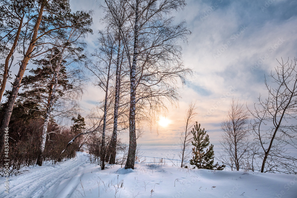 Winter landscape, Western Siberia