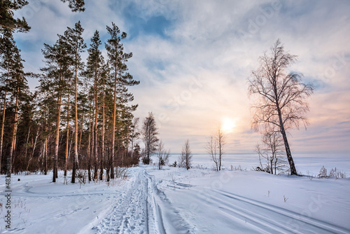 Winter landscape, Western Siberia