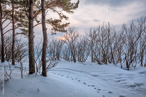 Winter landscape, Western Siberia