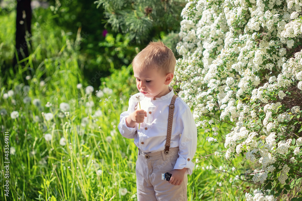Portrait of cute little boy blowing on dandelions in the park in summer Portrait of cute little boy blowing on dandelions in the park in summer