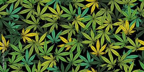 ganja wide seamless