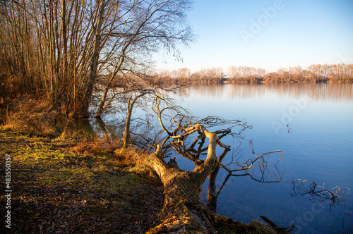River side with fallen tree