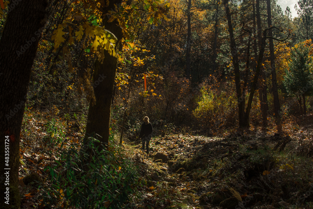 Obraz premium AUTUMN GRASS VALLEY, CA