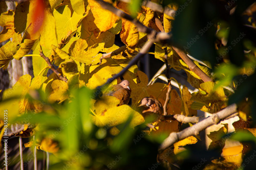 Fototapeta premium Life is Beautiful. Eat Pray Love