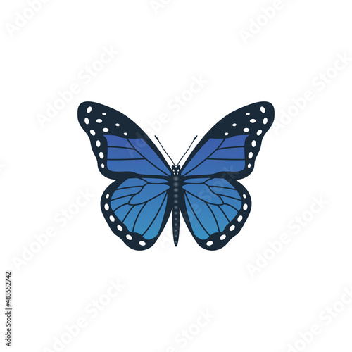 Blue butterfly icon vector, isolated on white background © M Mulyadi