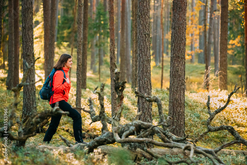 Active Young Adult Beautiful Caucasian Lady Woman Backpacker Dressed In Red Jacket Walking In Autumn Green Forest. Active Lifestyle In Nature.