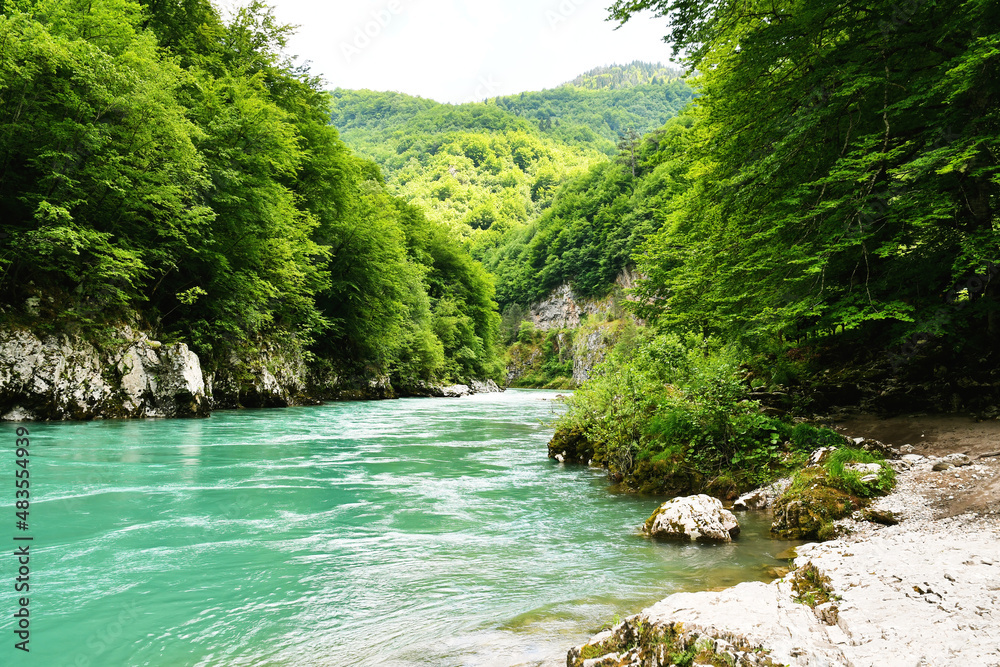 Gorge and valley of a picturesque mountain river. Turquoise water stream. Beauty in wild nature Gorge and valley of a picturesque mountain river. Turquoise water stream. Beauty in wild nature
