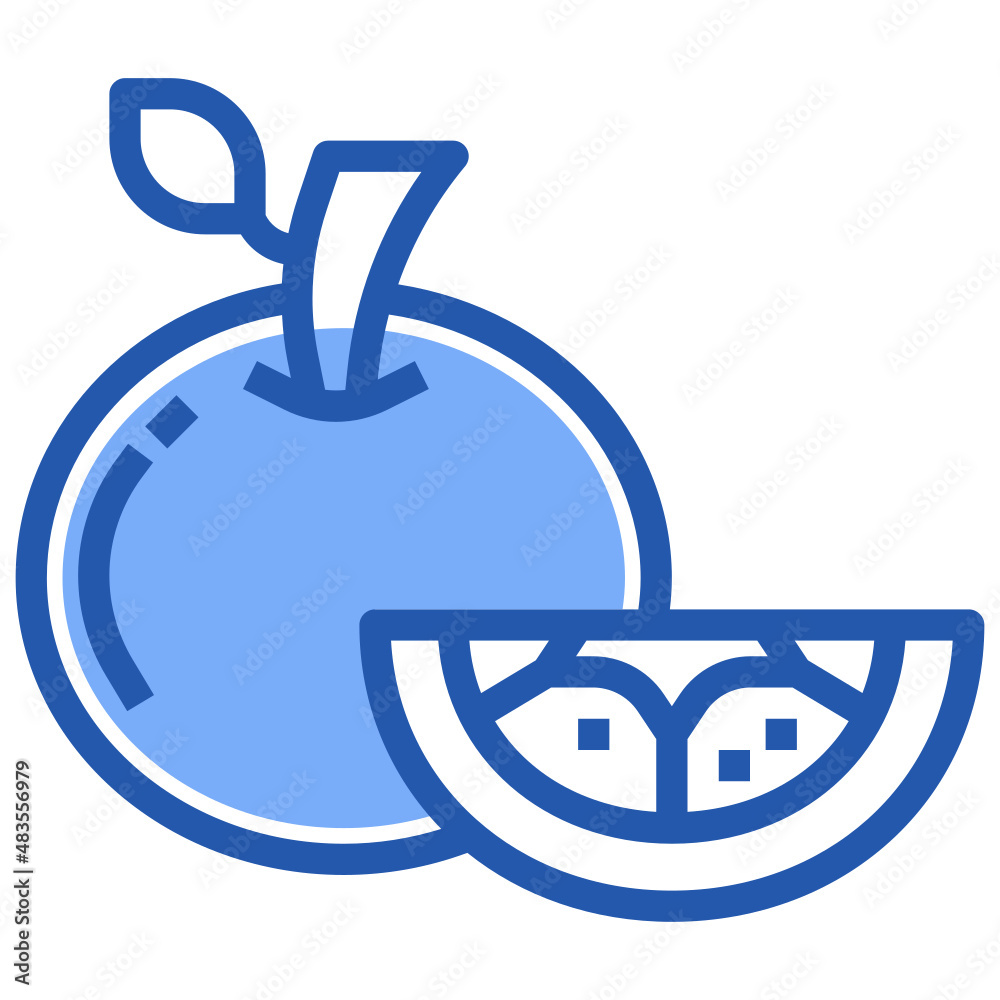 Healthy Food_Orange Healthy Food_Orange