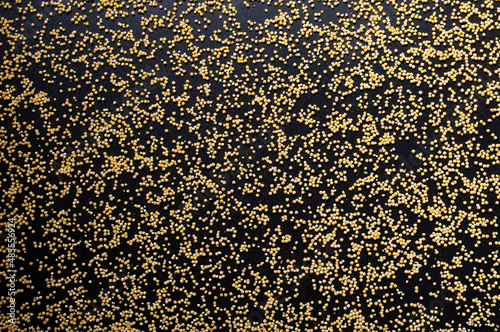 Millet grains on a black background