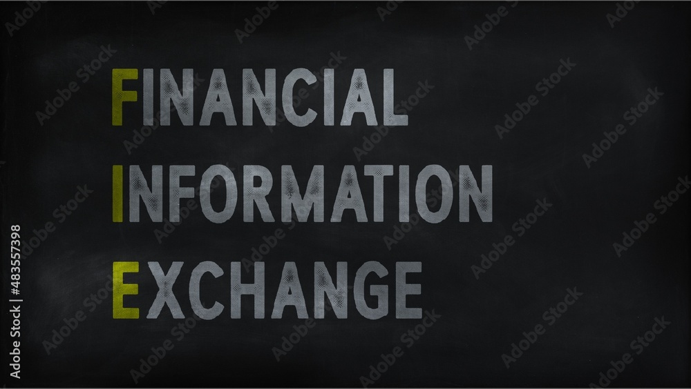 FINANCIAL INFORMATION EXCHANGE (FIE) on chalk board
FINANCIAL INFORMATION EXCHANGE (FIE) on chalk board
