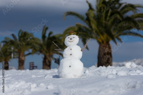 Palmtrees in the snow against the background of the sea. Winter in Greece