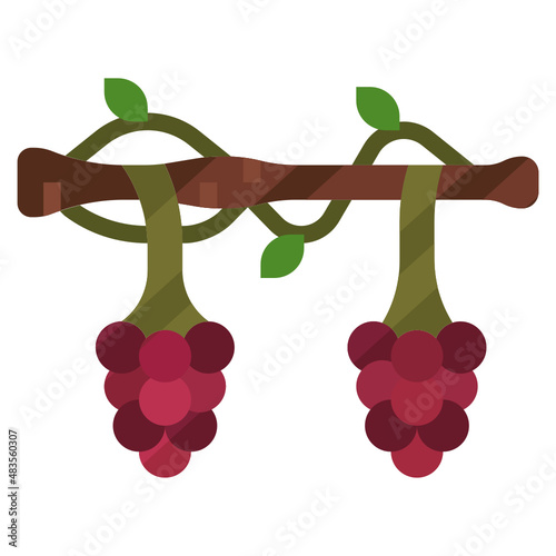 Wine_Grapevine