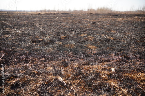 burnt grass. High quality photo